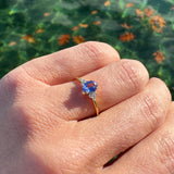Tanzanite & Diamond Ring