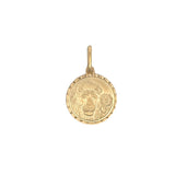 Leo Zodiac Charm
