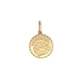 Pisces Zodiac Charm