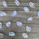 Chunky Moonstone Earrings