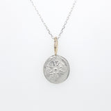 Gratitude Star Artifact Necklace