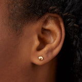 Micro Fragment Stud Earrings in 14K Yellow Gold