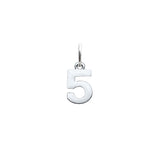 Number Charm (Numbers 0 through 9)