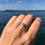 Compass Turquoise Ring in 14K Yellow Gold