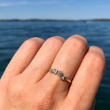 Effervescence Diamond Ring in 14K Yellow Gold