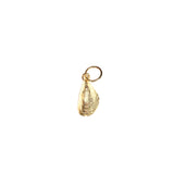 Zebra Mussel Charm