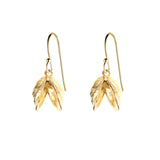 Double Zebra Mussel Earrings