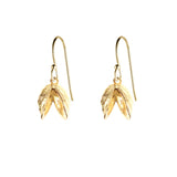 Double Zebra Mussel Earrings