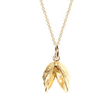 Double Zebra Mussel Necklace