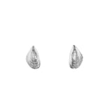 Zebra Mussel Stud Earrings