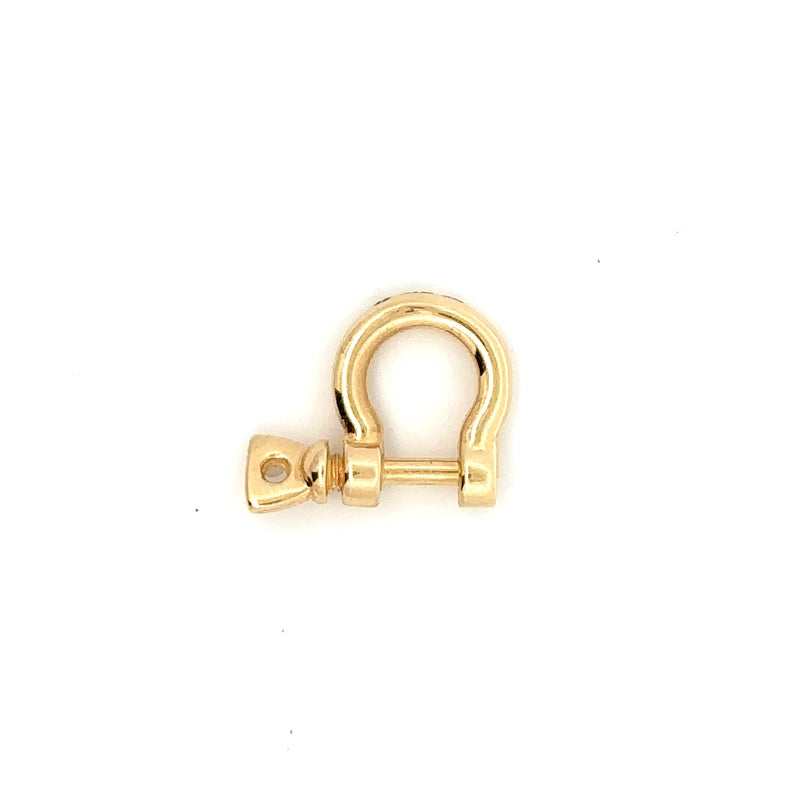 Shackle Charm