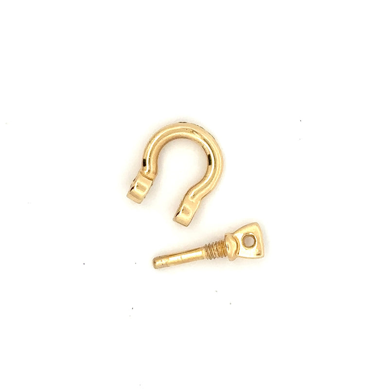 Shackle Charm