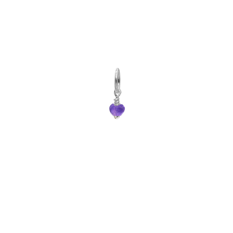 February Birthstone Charms