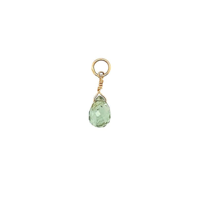 February Birthstone Charms