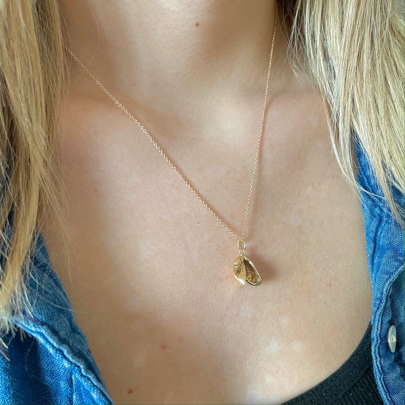 Double Zebra Mussel Charm