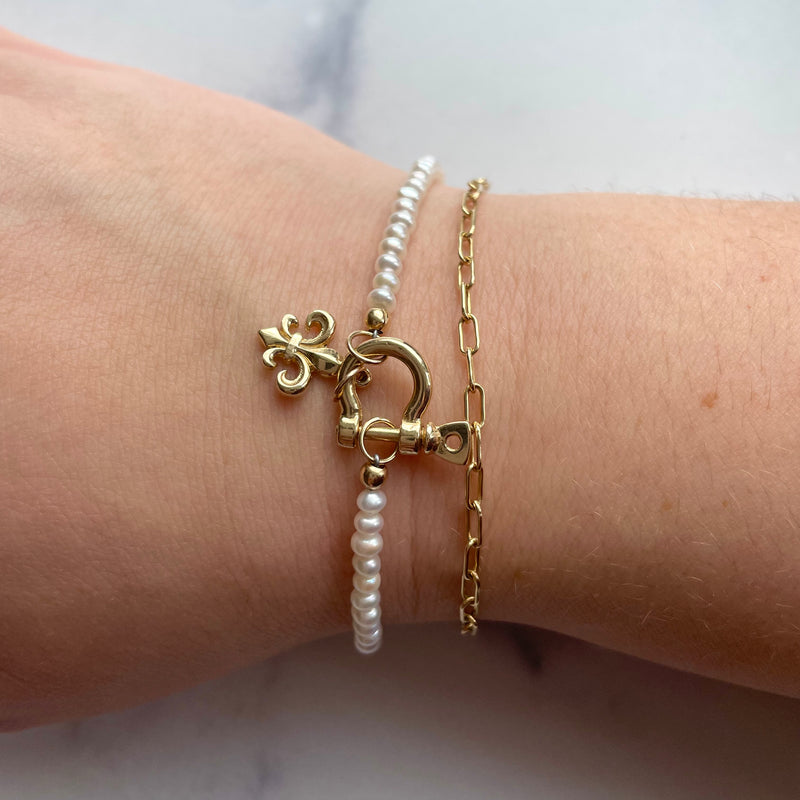 Shackle Charm