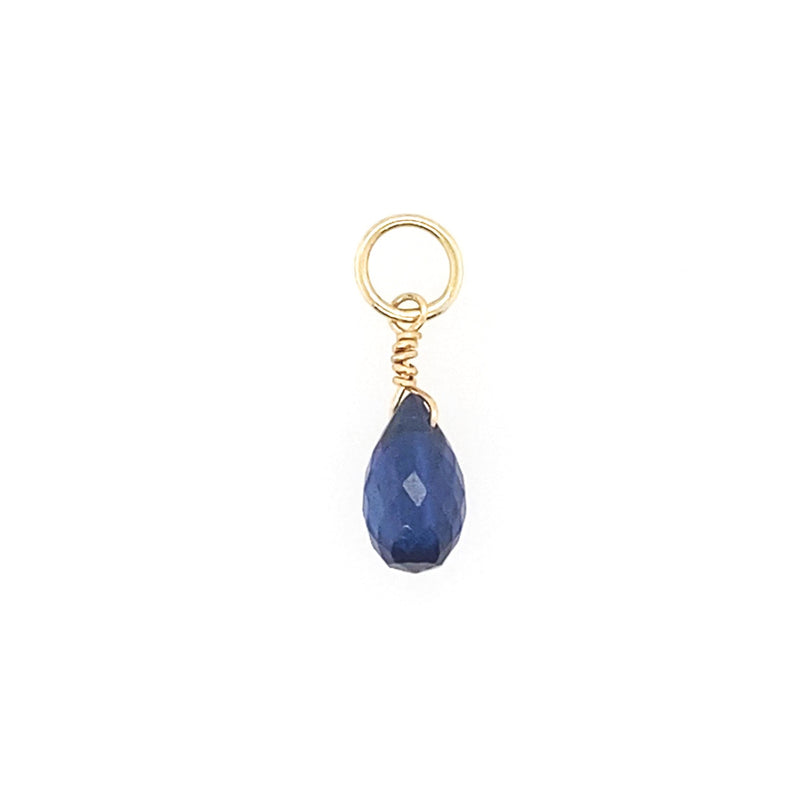 September Birthstone Charms