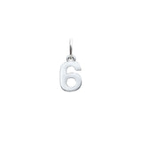 Number Charm (Numbers 0 through 9)