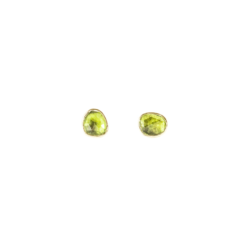 Organic Set Gemstone Stud Earrings