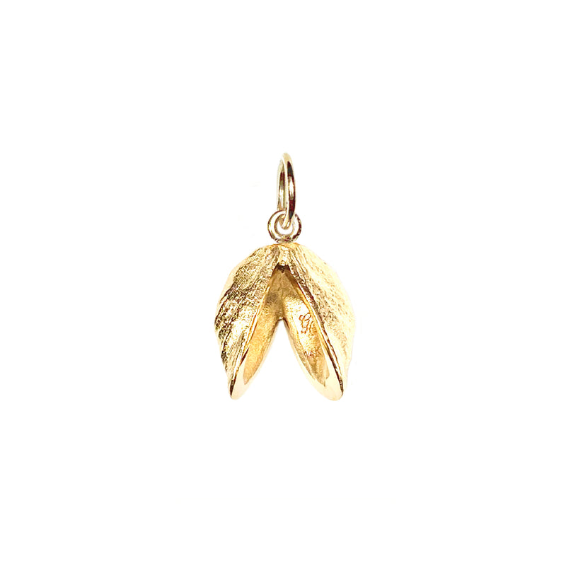 Double Zebra Mussel Charm