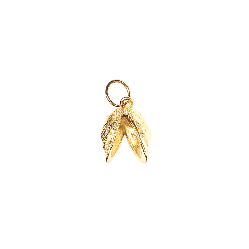 Double Zebra Mussel Charm