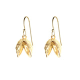 Double Zebra Mussel Earrings