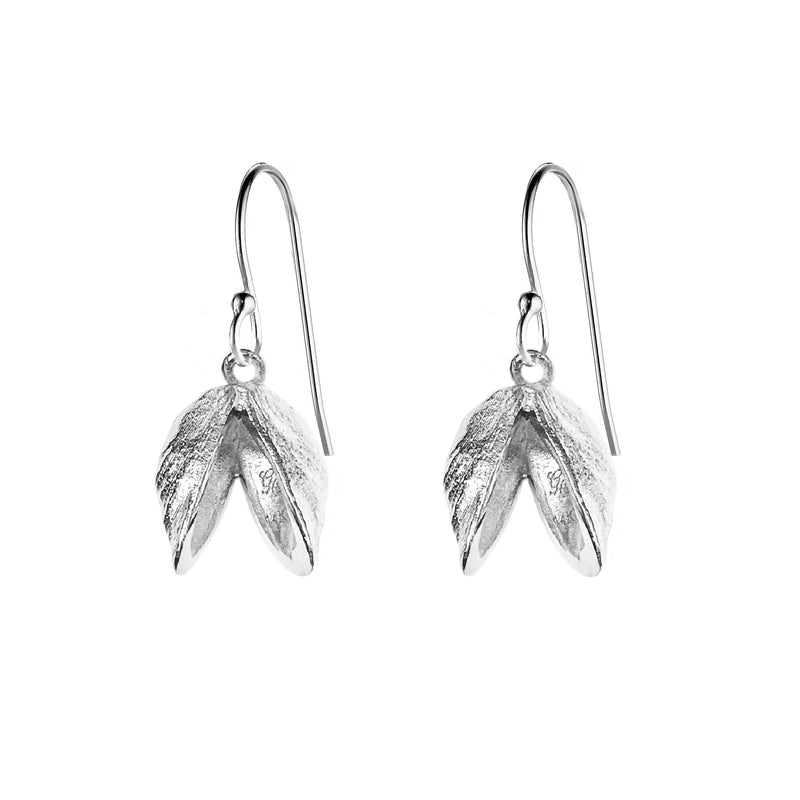 Double Zebra Mussel Earrings