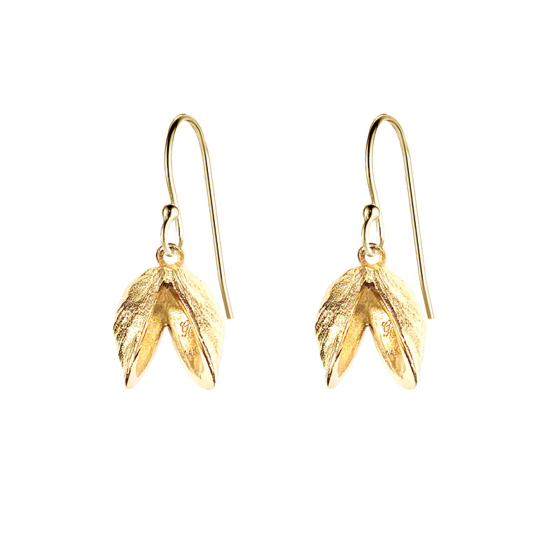 Double Zebra Mussel Earrings