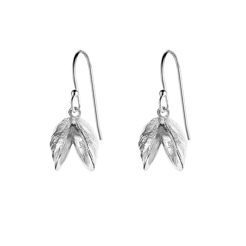 Double Zebra Mussel Earrings