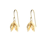 Double Zebra Mussel Earrings