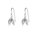 Double Zebra Mussel Earrings