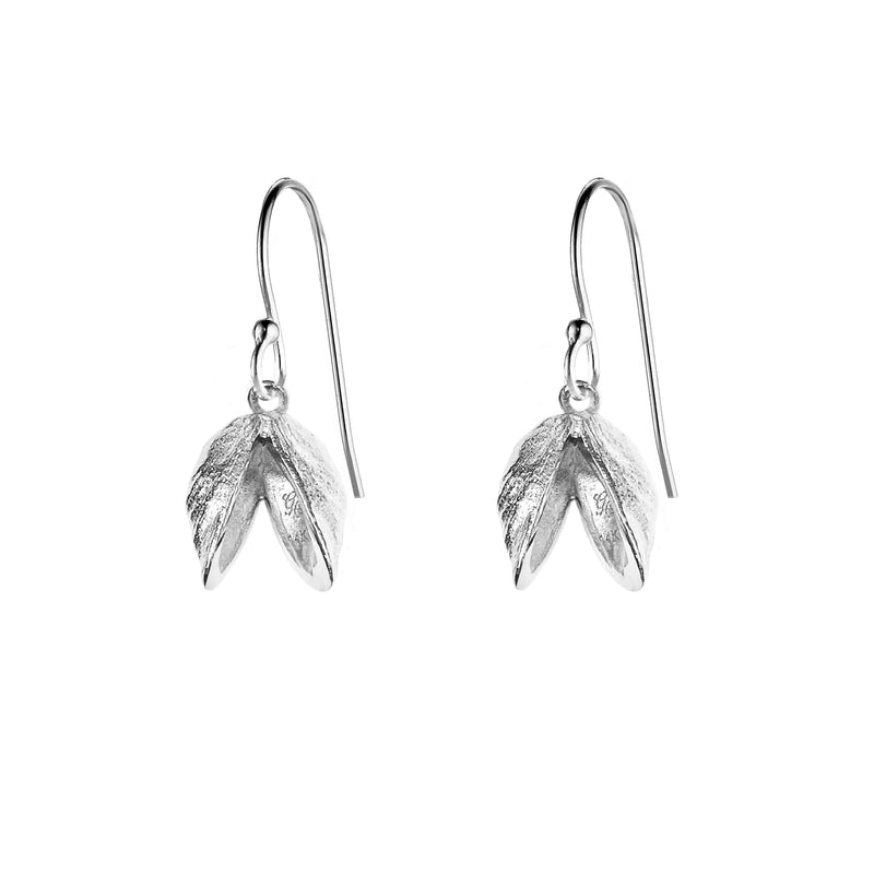 Double Zebra Mussel Earrings