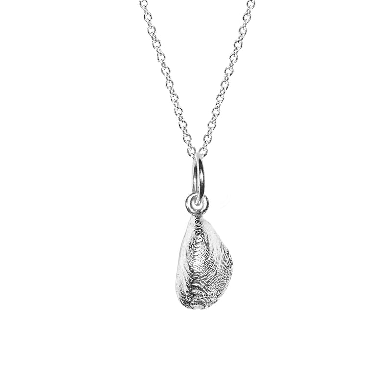 Zebra Mussel Necklace